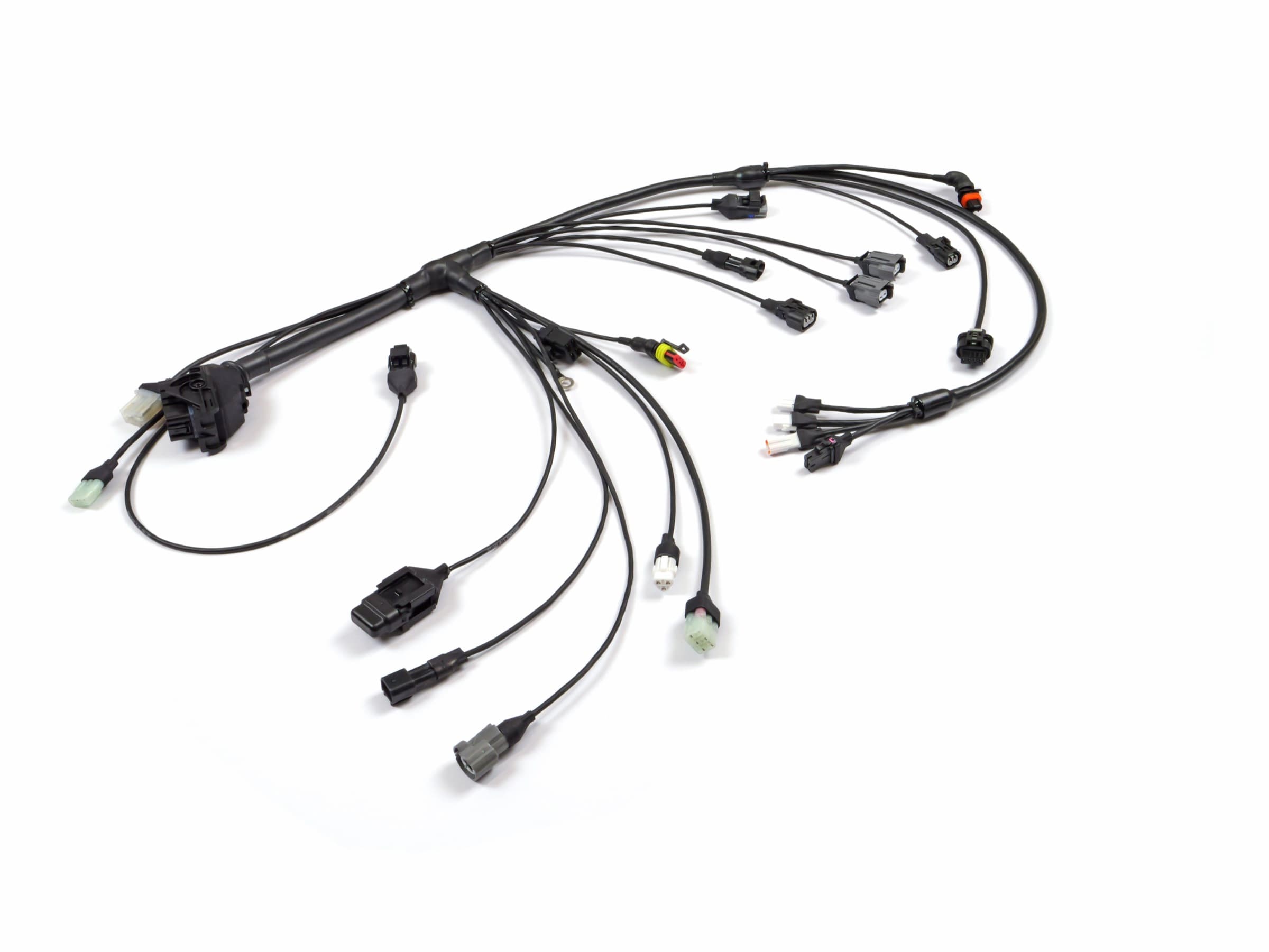 Carrot MX Wiring Loom — The stock MX harness, rebuilt in Spec55 — 10% lighter, fully sealed, plug-and-play.