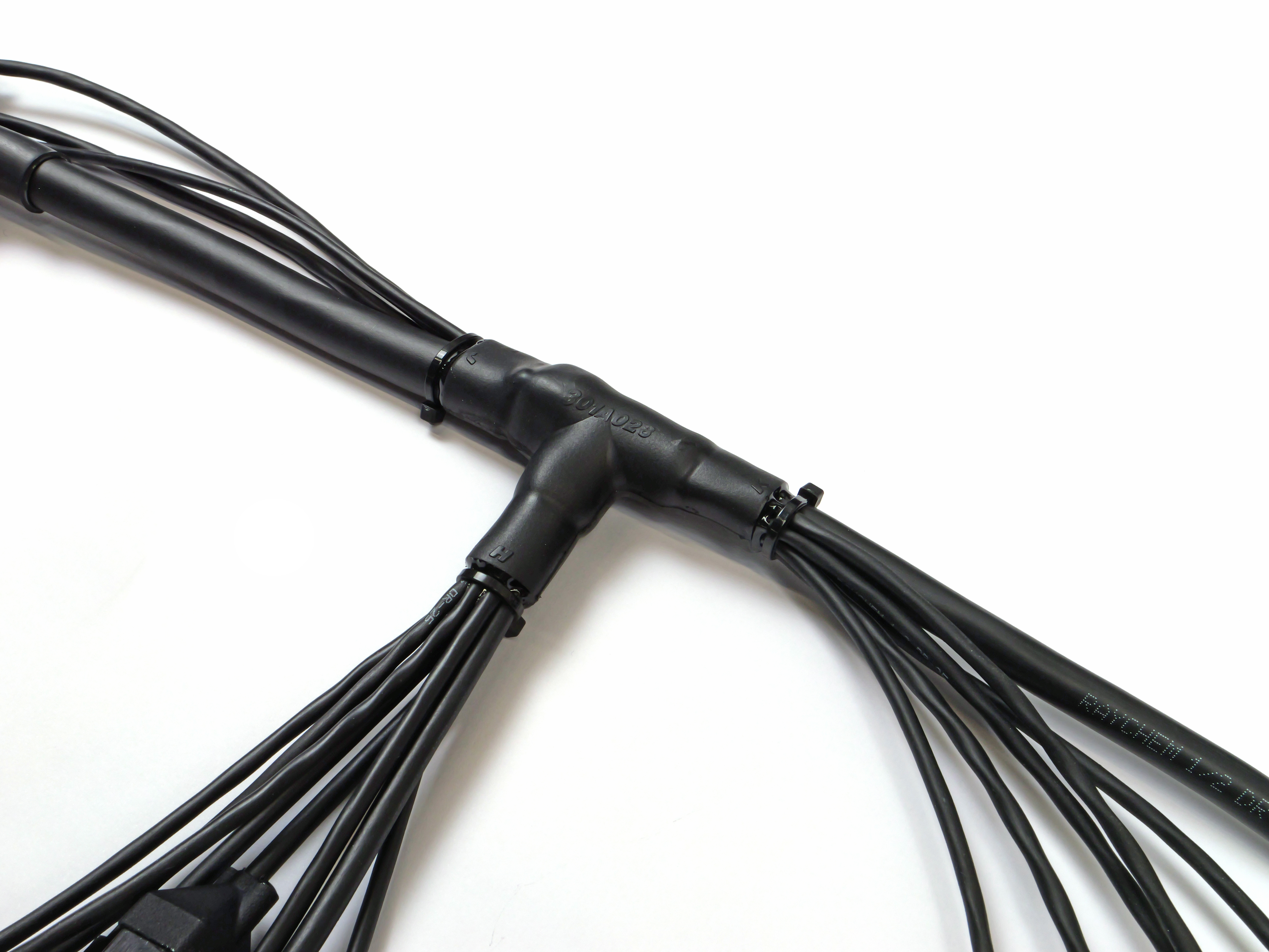 Carrot MX Wiring Loom — detail 1