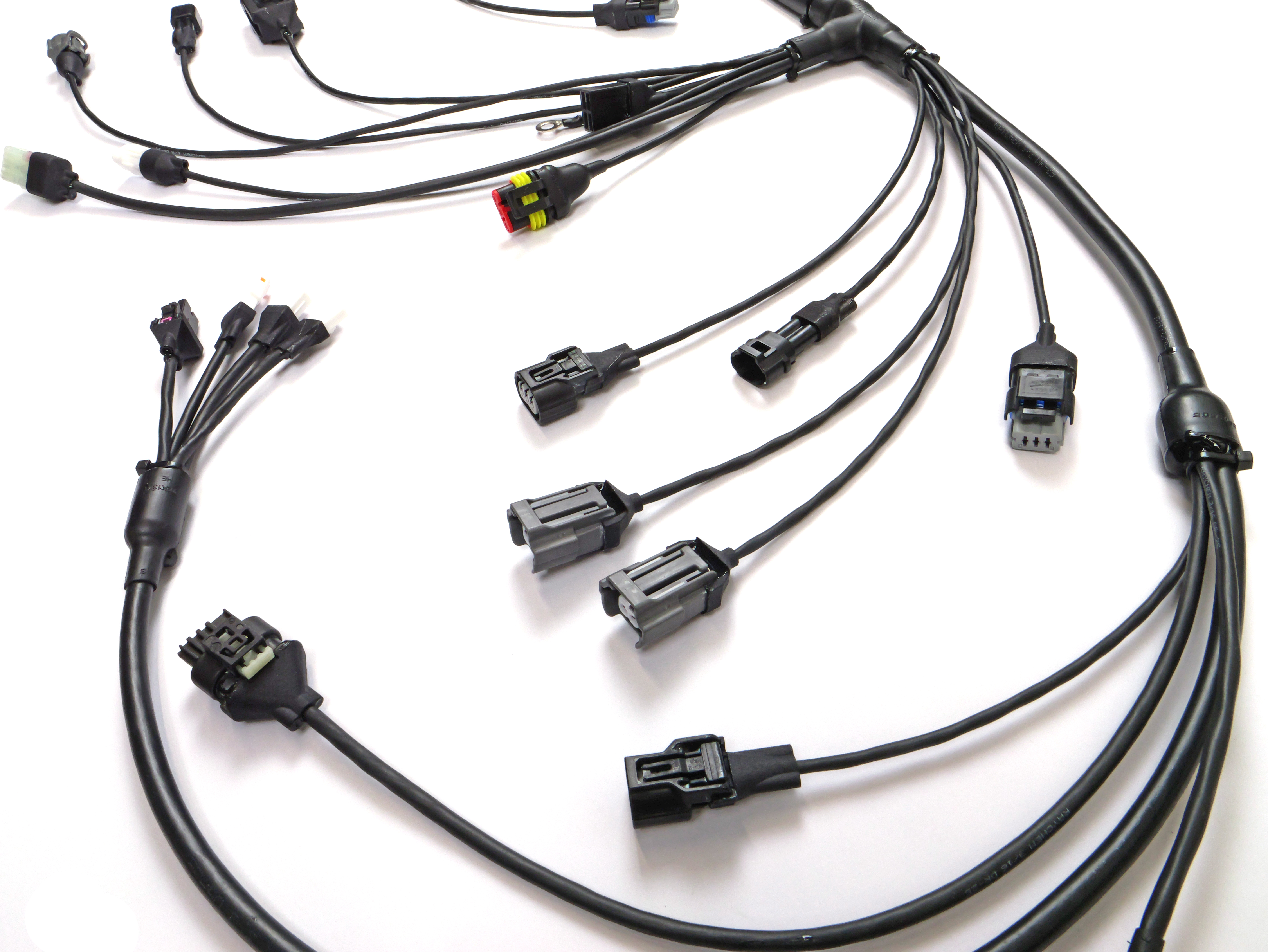 Carrot MX Wiring Loom — detail 3