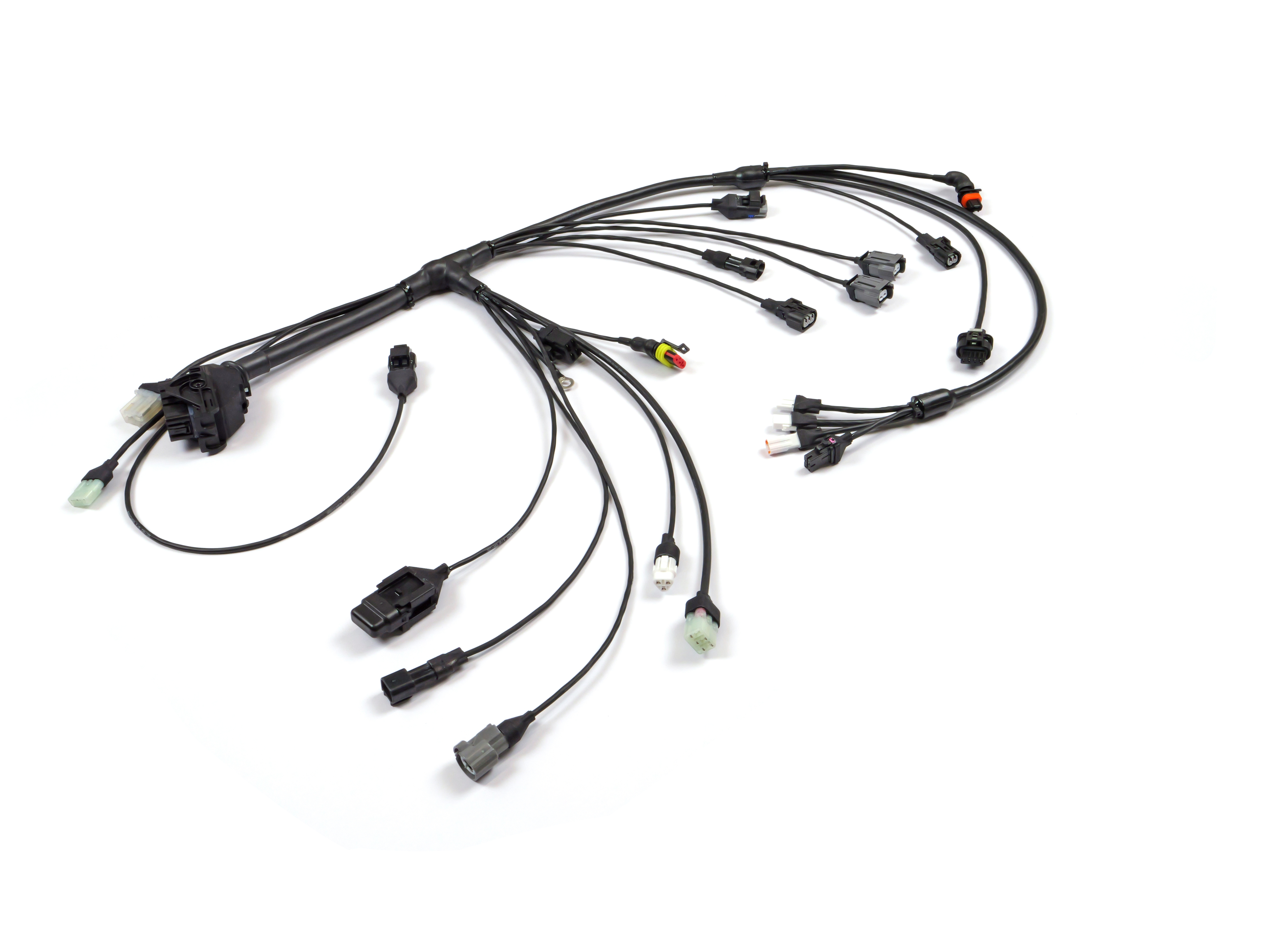 Carrot MX Wiring Loom